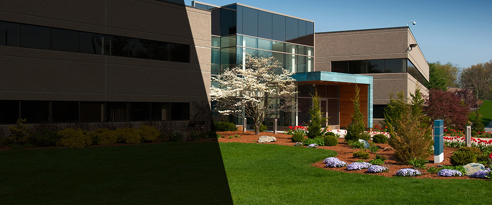Placerville Landscapers