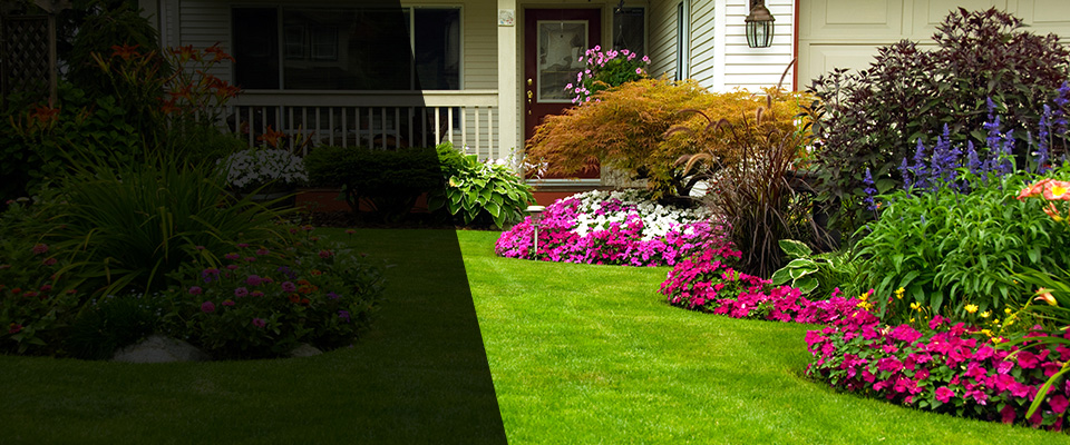 Placerville Landscapers